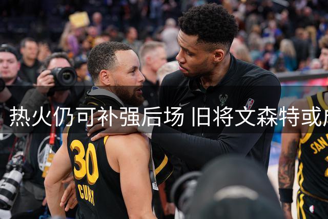 热火仍可补强后场 旧将文森特或成理想人选